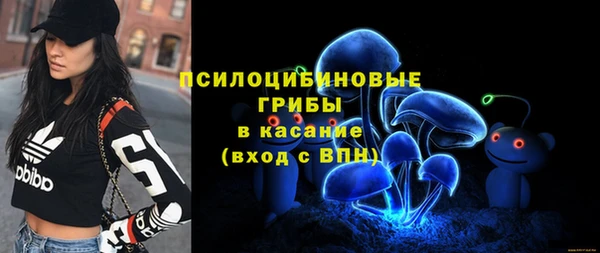 прущая мука Алзамай