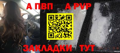 мяу мяу мука Гатчина