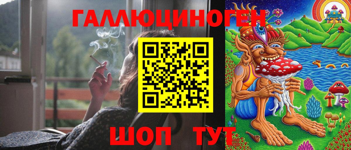 Псилоцибиновые грибы Psilocybe  Вход с VPN  Заволжье 